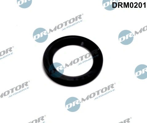 Seal Ring, nozzle holder (DRM0201)