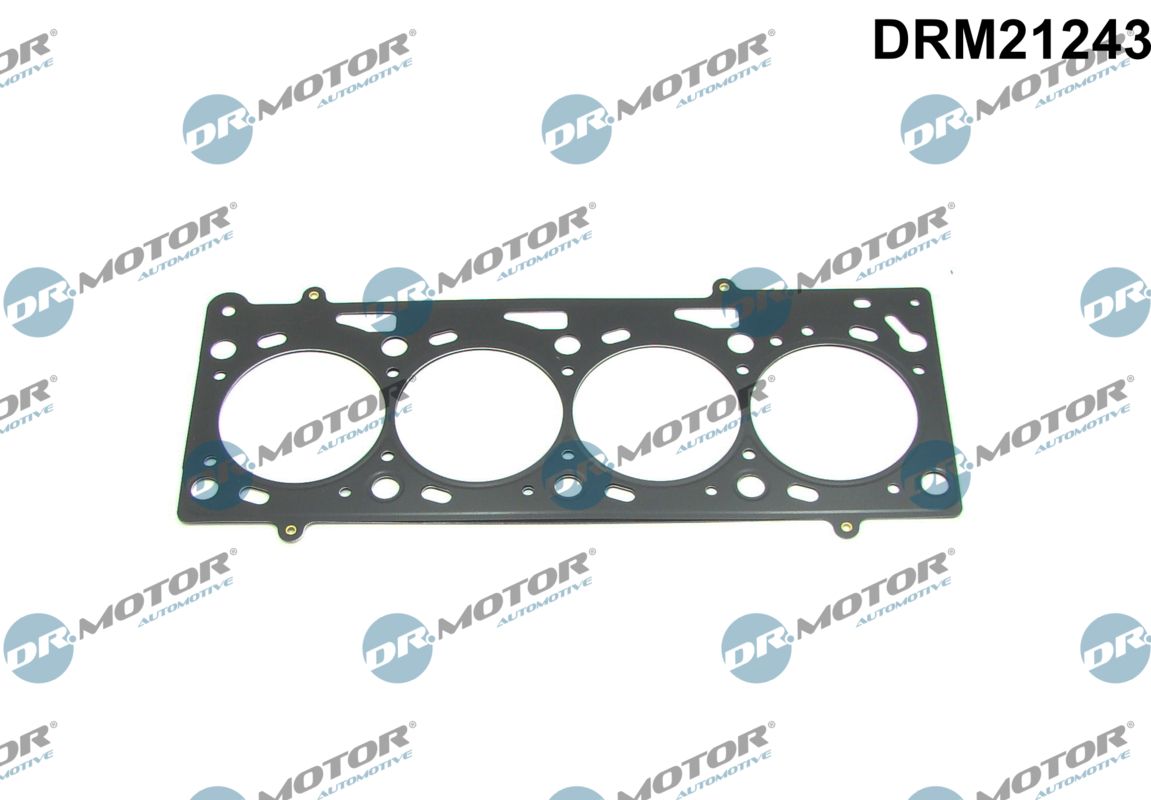 Gasket, cylinder head (DRM21243)