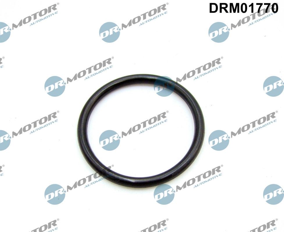 Gasket, intake manifold (DRM01770)