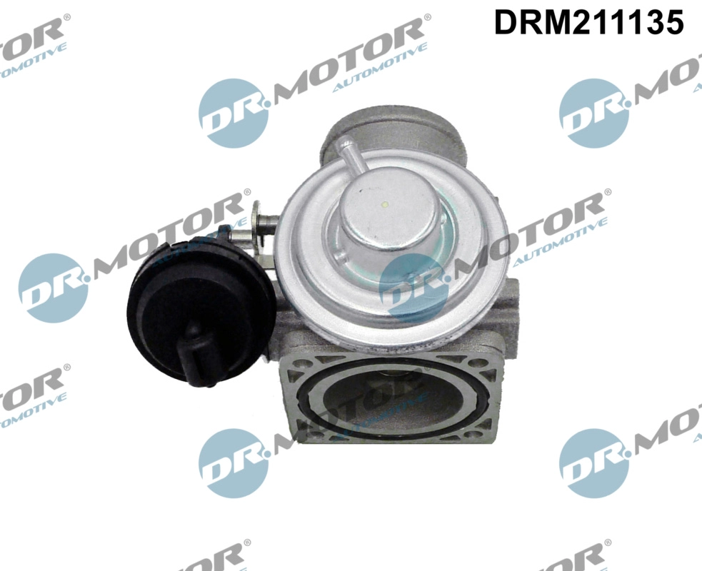 EGR Valve (DRM211135)
