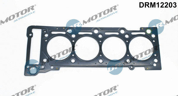Gasket, cylinder head (DRM12203)