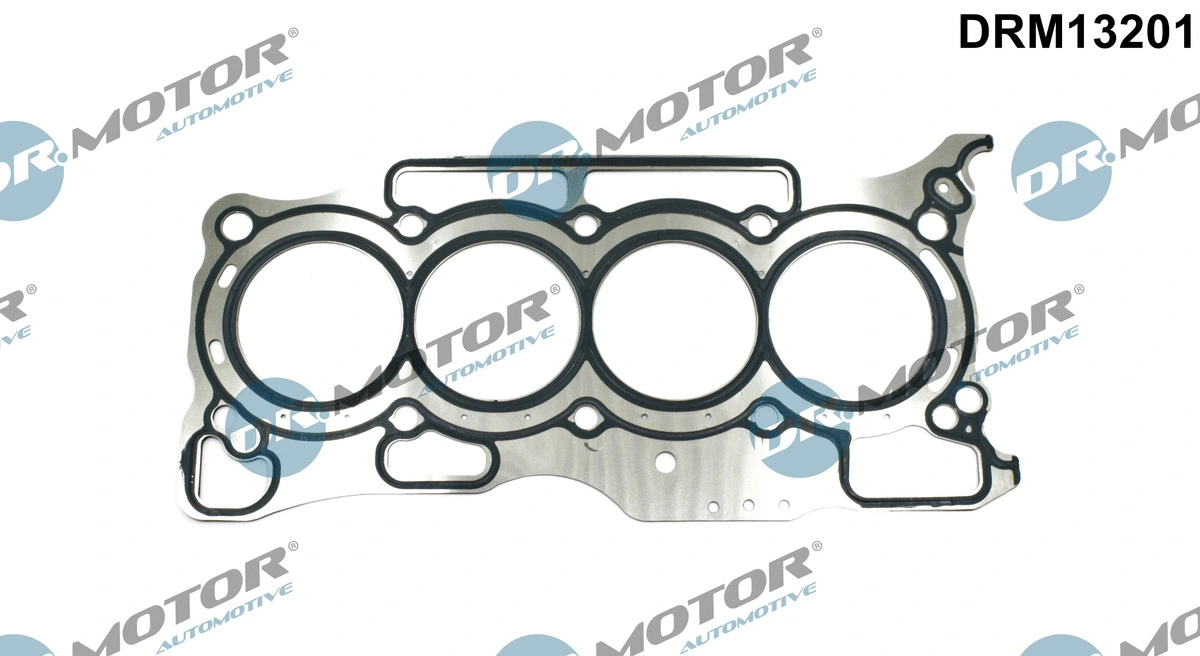 Gasket, cylinder head (DRM13201)