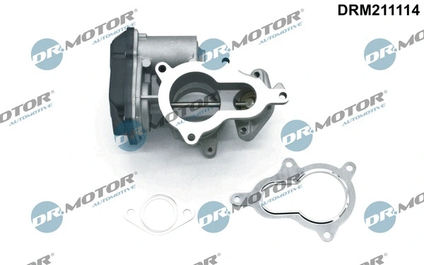 EGR Valve