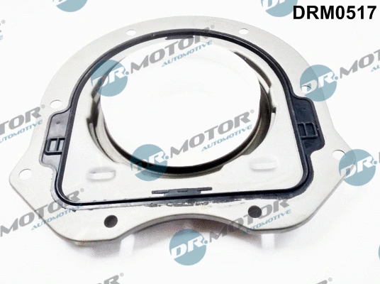 Shaft Seal, crankshaft (DRM0517)