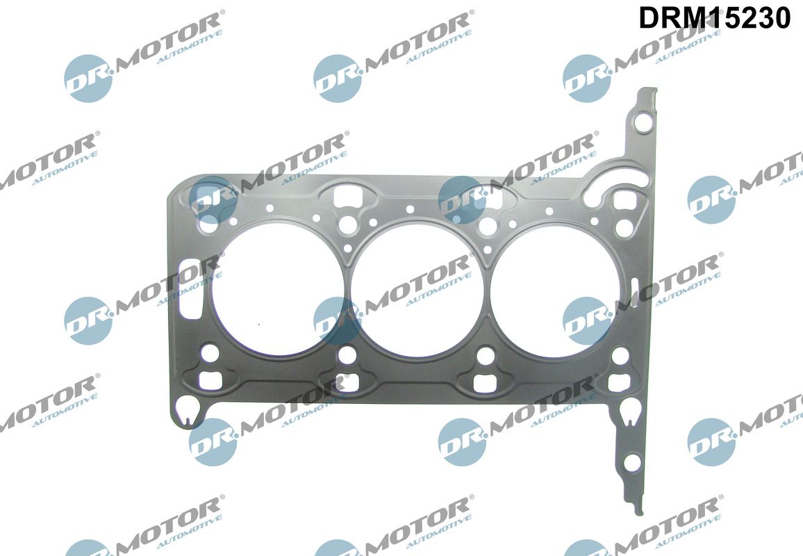 Gasket, cylinder head (DRM15230)