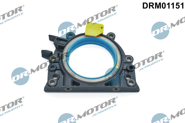 Shaft Seal, crankshaft (DRM01151)