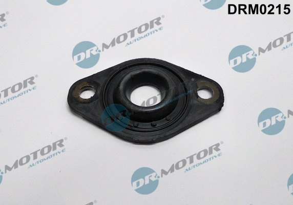 Seal, injector holder (DRM0215)