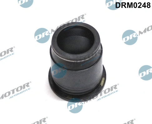 Seal, injector holder (DRM0248)