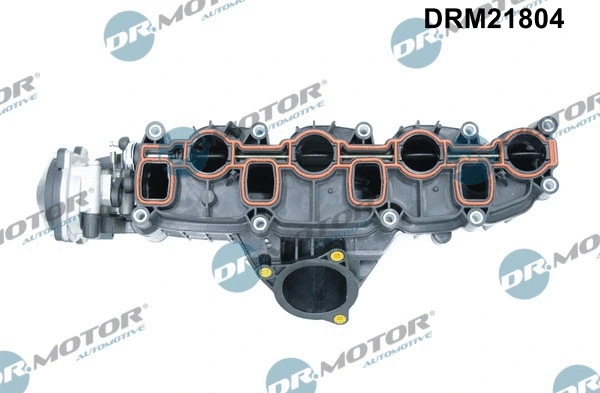 Intake Manifold Module