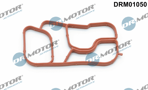 Gasket, oil cooler (DRM01050)