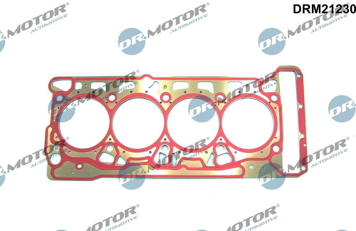 Gasket, cylinder head (DRM21230)