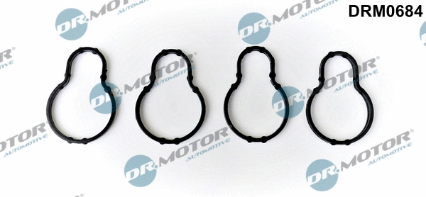 Gasket, intake manifold (DRM0684)