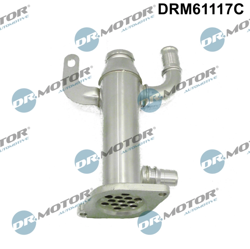 Cooler, exhaust gas recirculation (DRM61117C)
