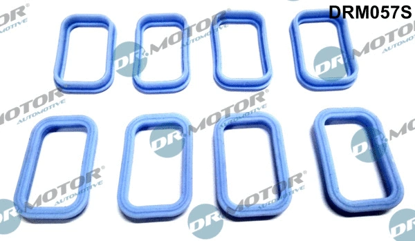 Gasket Set, intake manifold (DRM057S)