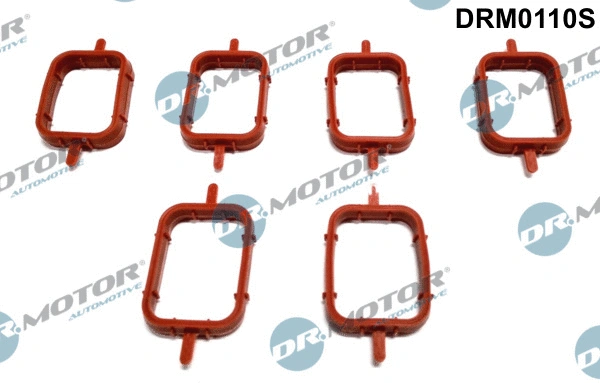 Gasket Set, intake manifold (DRM0110S)