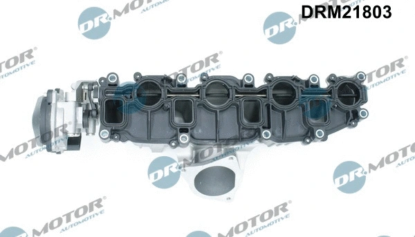 Intake Manifold Module