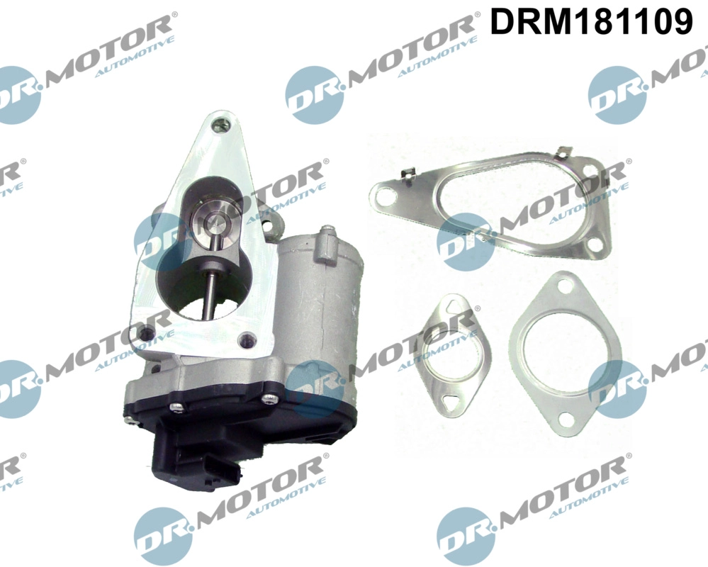 EGR Valve (DRM181109)