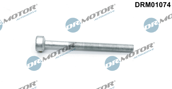 Screw, injection nozzle holder (DRM01074)