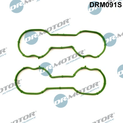 Gasket Set, intake manifold (DRM091S)