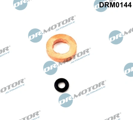 Seal Kit, injector nozzle (DRM0144)