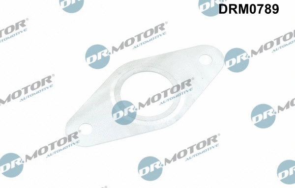 Gasket, EGR valve pipe (DRM0789)