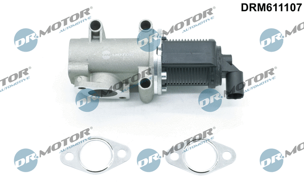 EGR Valve (DRM611107)