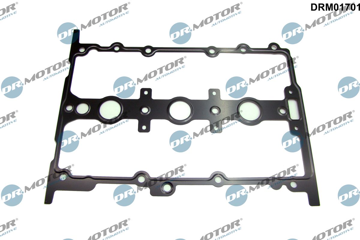 Gasket, cylinder head cover (DRM01701)