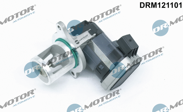 EGR Valve (DRM121101)