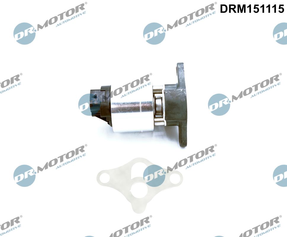 EGR Valve (DRM151115)