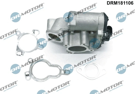 EGR Valve