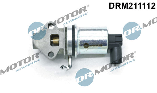 EGR Valve (DRM211112)