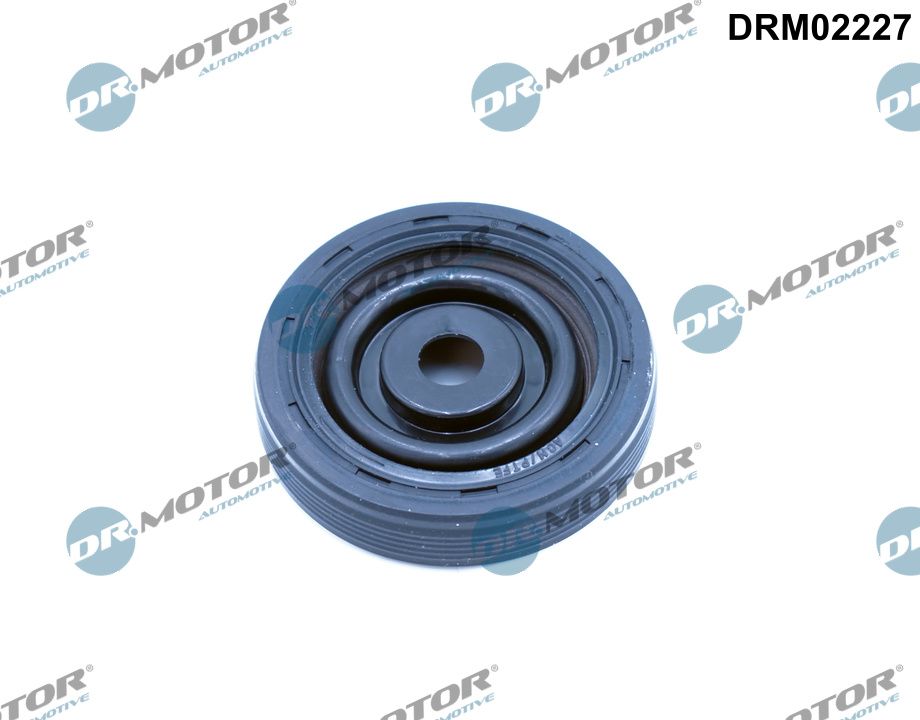 Shaft Seal, crankshaft (DRM02227)