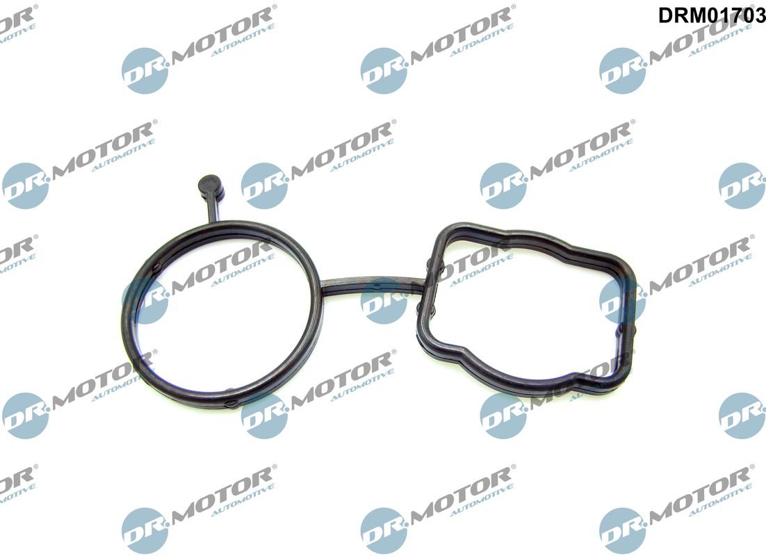 Gasket, thermostat housing (DRM01703)