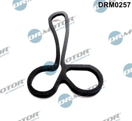 Gasket, oil cooler (DRM0257)