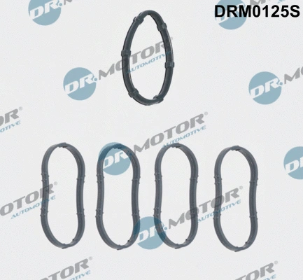 Gasket Set, intake manifold (DRM0125S)