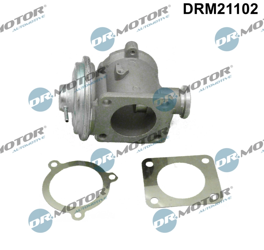 EGR Valve (DRM21102)