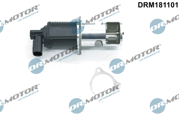 EGR Valve (DRM181101)