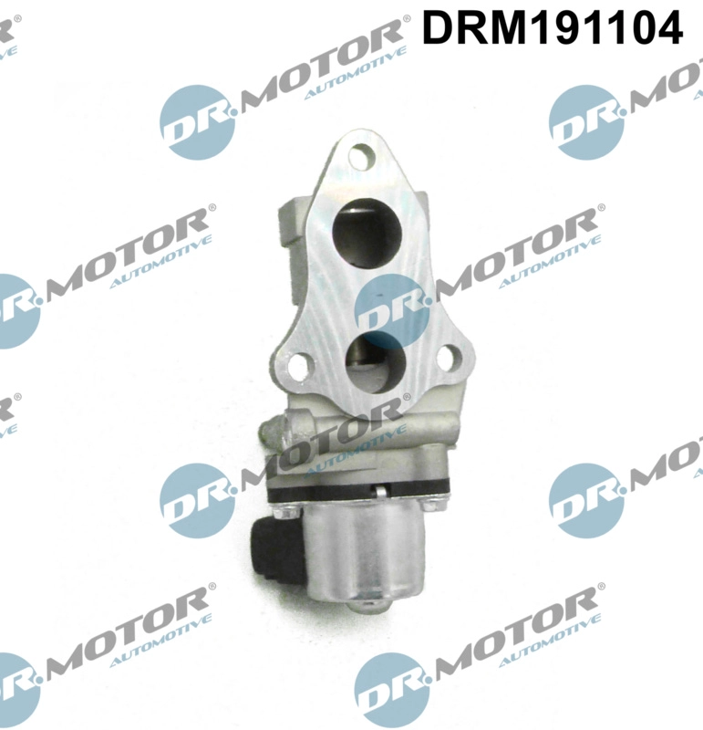 EGR Valve (DRM191104)