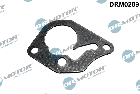 Gasket, vacuum pump (DRM0289)