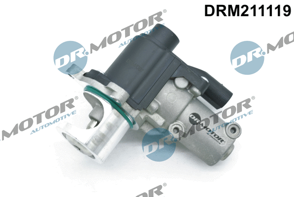 EGR Valve (DRM211119)