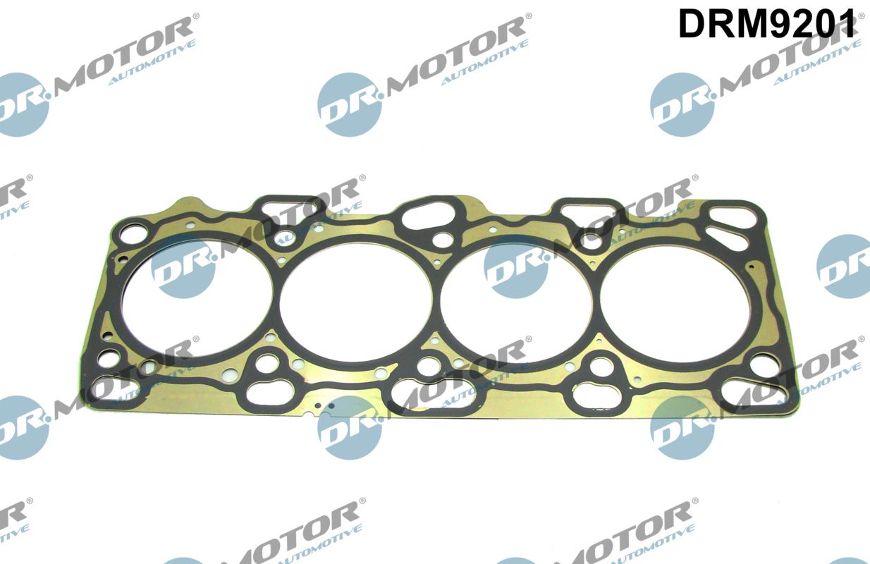 Gasket, cylinder head (DRM9201)