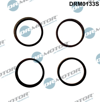 Gasket Set, intake manifold (DRM0133S)