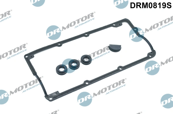 Gasket Set, cylinder head cover (DRM0819S)