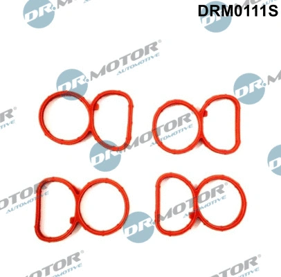 Gasket Set, intake manifold (DRM0111S)