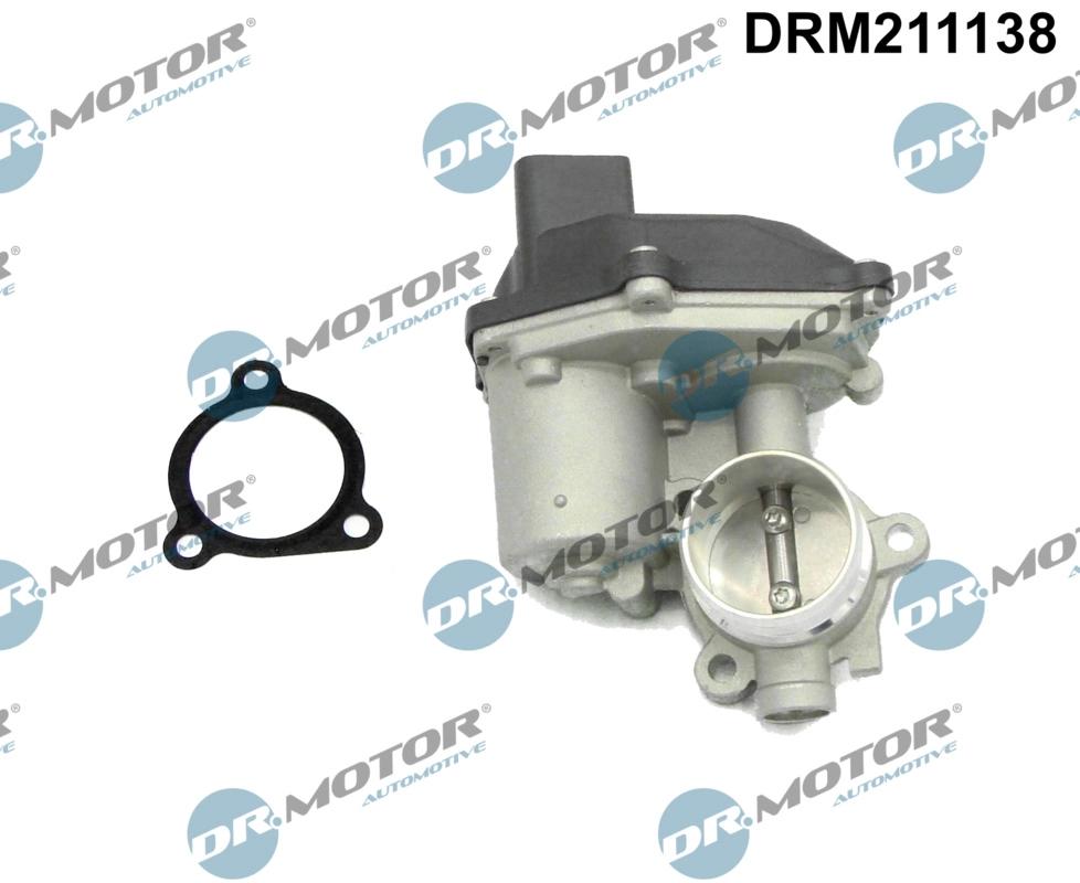 EGR Valve (DRM211138)