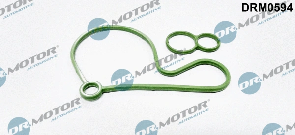 Gasket, vacuum pump (DRM0594)