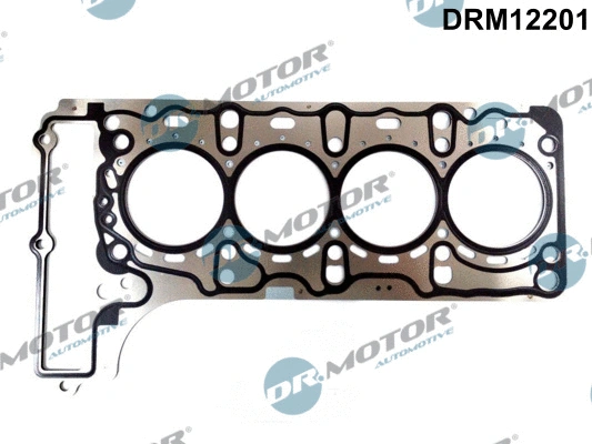 Gasket, cylinder head (DRM12201)