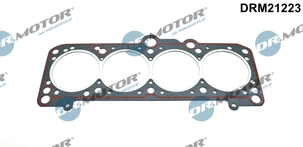 Gasket, cylinder head (DRM21223)