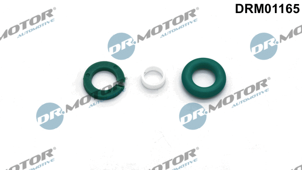 Seal Kit, injector nozzle (DRM01165)