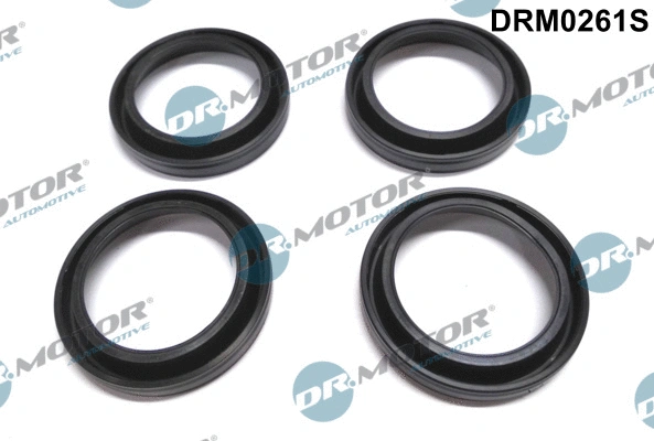 Seal, injector holder (DRM0261S)